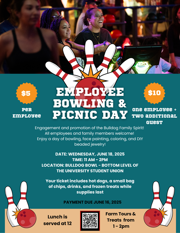 Summer Bowling and Picnic
